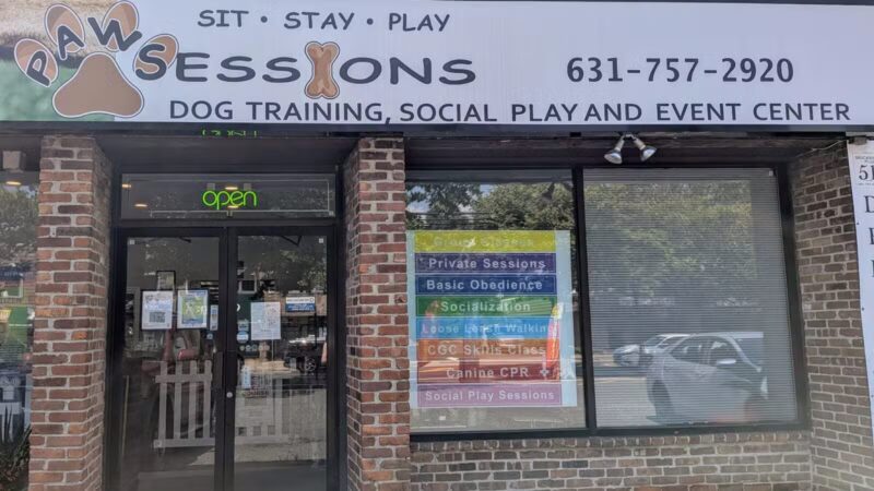 PawSessions Dog Training, Socialization and Event Center of Long Island - Greenlawn, NY