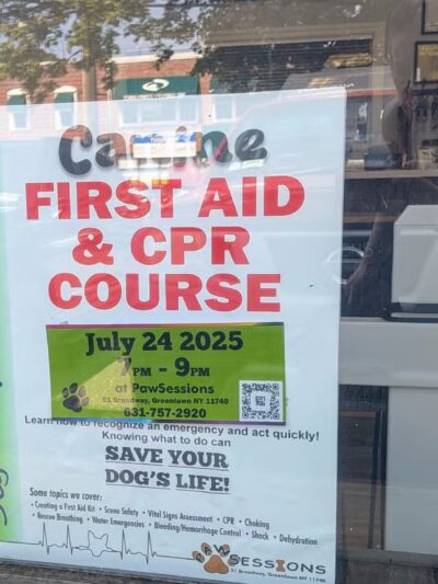 PawSessions Dog Training, Socialization and Event Center of Long Island - Greenlawn, NY