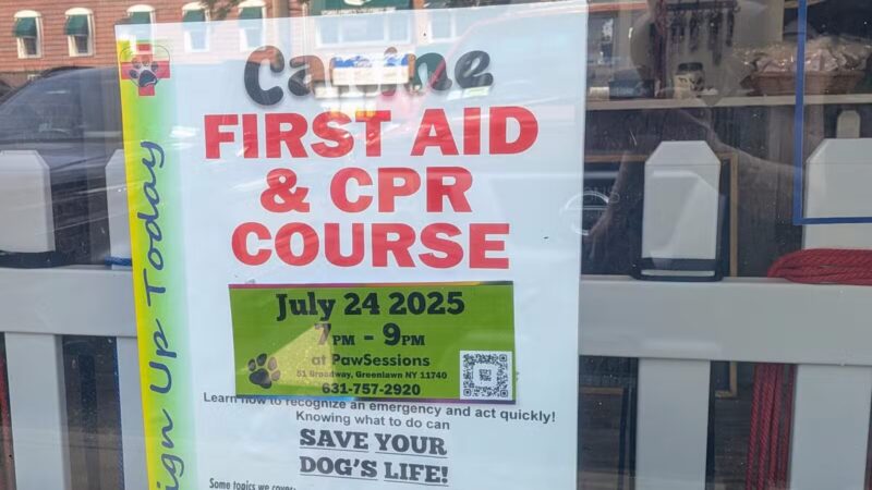 PawSessions Dog Training, Socialization and Event Center of Long Island - Greenlawn, NY