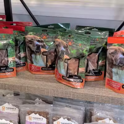 PawSessions Dog Training, Socialization and Event Center of Long Island - Greenlawn, NY