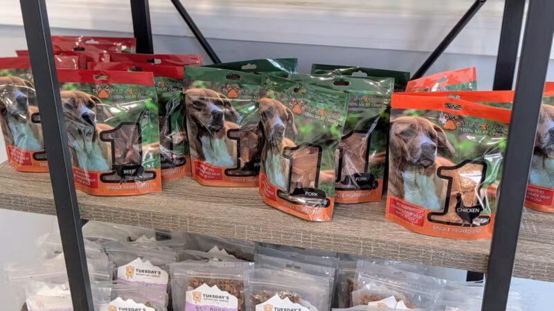 PawSessions Dog Training, Socialization and Event Center of Long Island - Greenlawn, NY