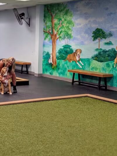 PawSessions Dog Training, Socialization and Event Center of Long Island - Greenlawn, NY