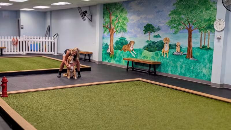 PawSessions Dog Training, Socialization and Event Center of Long Island - Greenlawn, NY