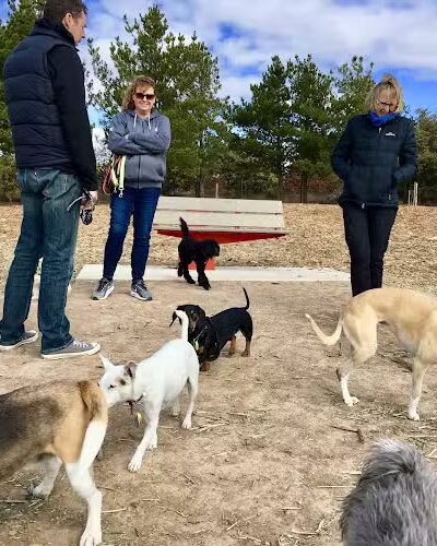 Harbor Club Dog Park - Greensboro, GA