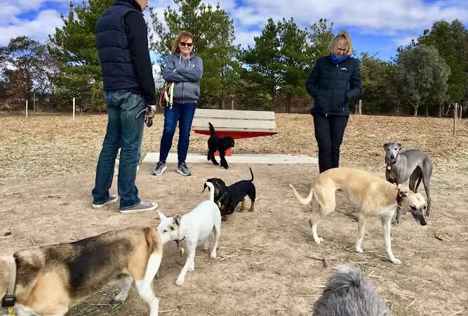 Harbor Club Dog Park - Greensboro, GA
