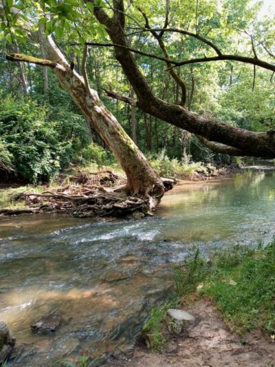 Charles L Buell Trail - Greensburg, IN