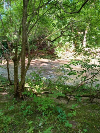 Charles L Buell Trail - Greensburg, IN