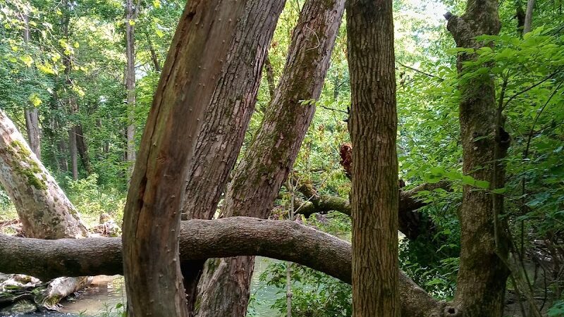 Charles L Buell Trail - Greensburg, IN