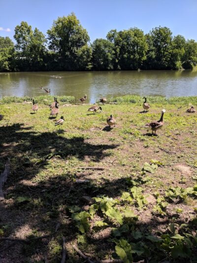 Decatur County Park - Greensburg, IN