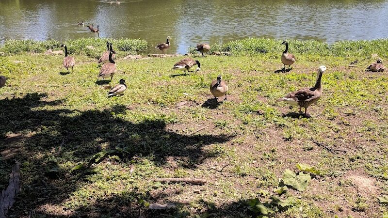 Decatur County Park - Greensburg, IN