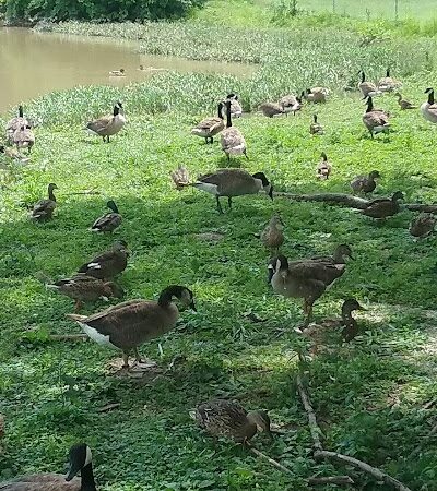 Decatur County Park - Greensburg, IN
