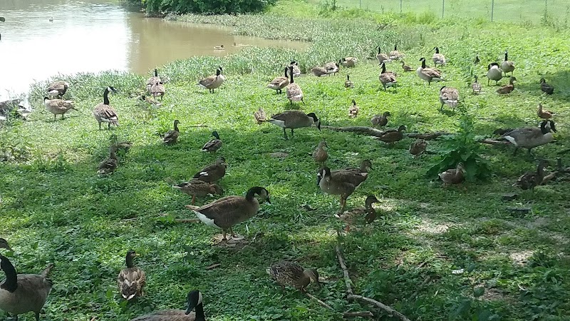 Decatur County Park - Greensburg, IN