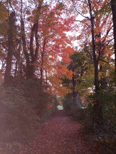 Rebekah Park - Greensburg, IN