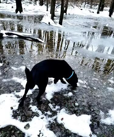 Rebekah Park - Greensburg, IN