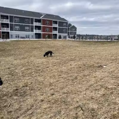 Central Bark Park - Greenville,