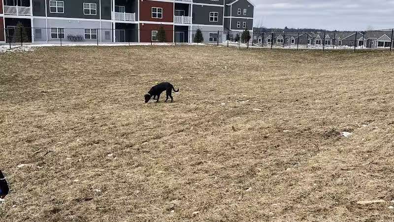 Central Bark Park - Greenville,