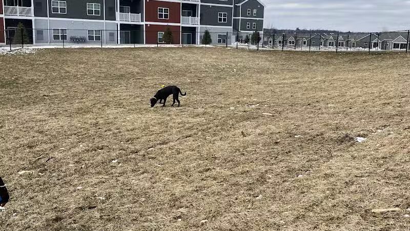 Central Bark Park - Greenville,