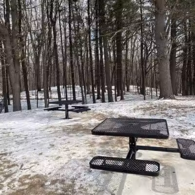 Central Bark Park - Greenville,