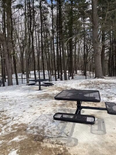 Central Bark Park - Greenville,