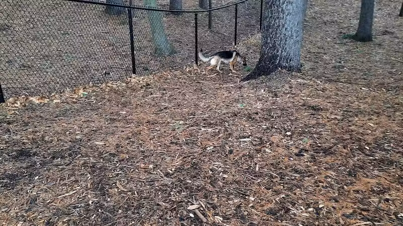 Central Bark Park - Greenville,