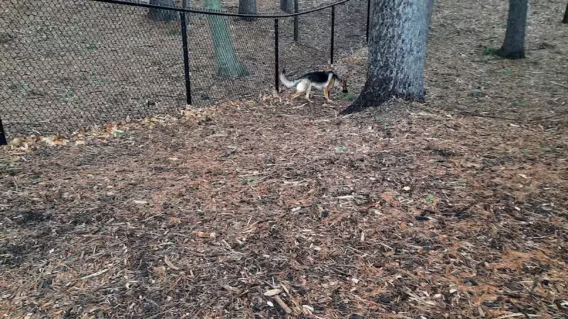 Central Bark Park - Greenville,