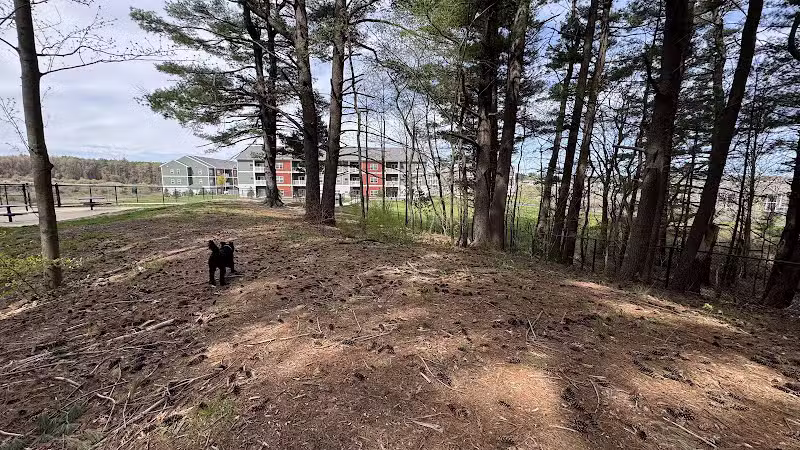 Central Bark Park - Greenville,