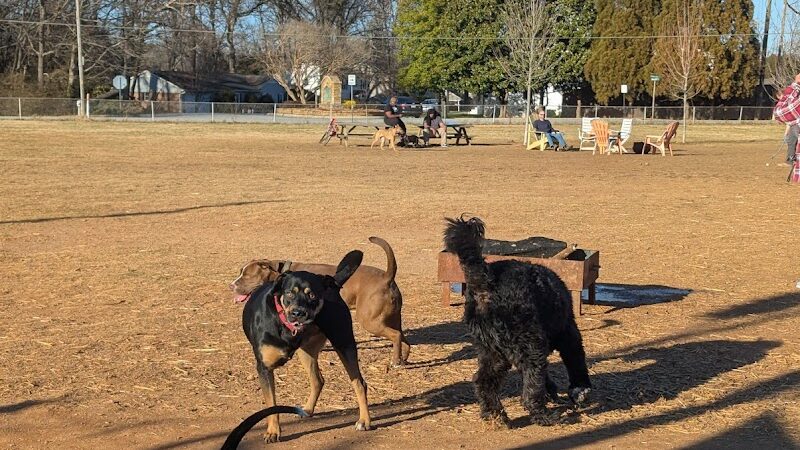 Edgewood Bark Park - Greenville, SC