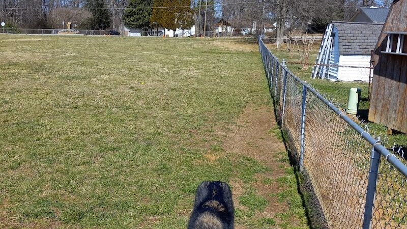 Edgewood Bark Park - Greenville, SC