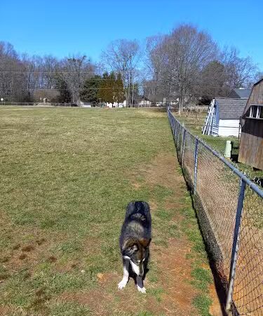 Edgewood Bark Park - Greenville, SC