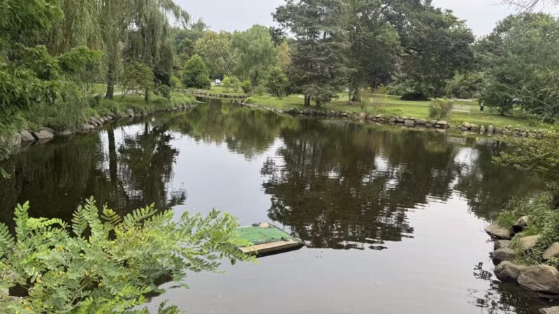 Binney Park - Greenwich, CT