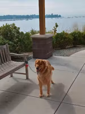 Cos Cob Park - Greenwich, CT