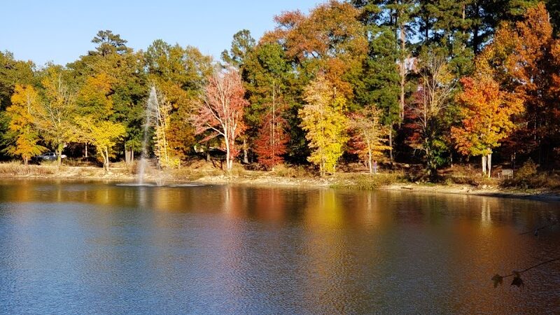 Grace St Dog Park - Greenwood, SC