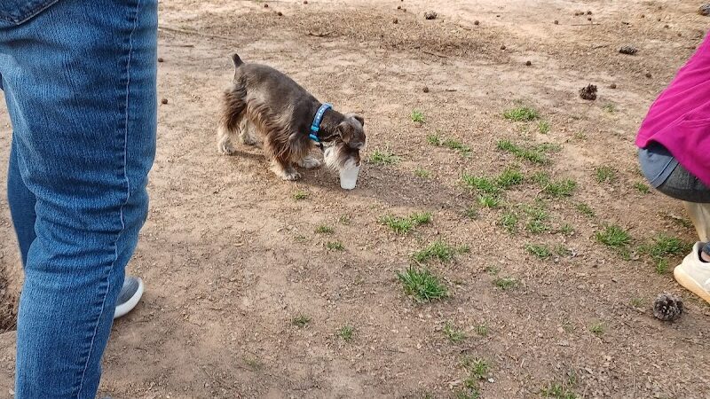 Grace St Dog Park - Greenwood, SC