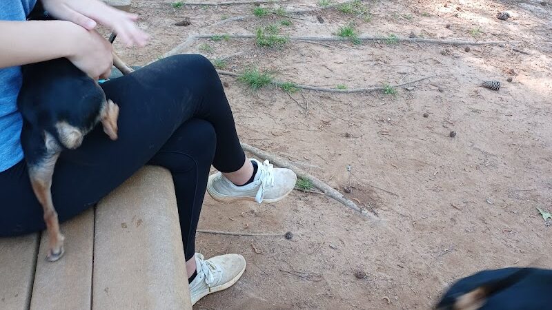 Grace St Dog Park - Greenwood, SC