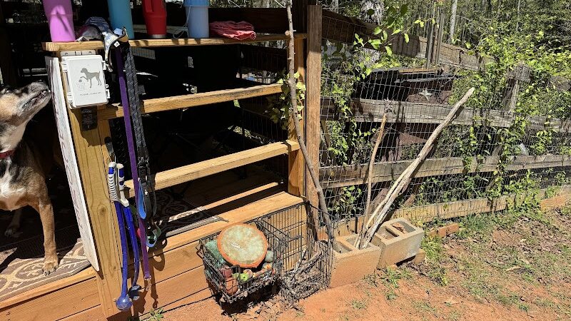 Lucy’s Private Dog Park (Reservation Only) - Greer, SC