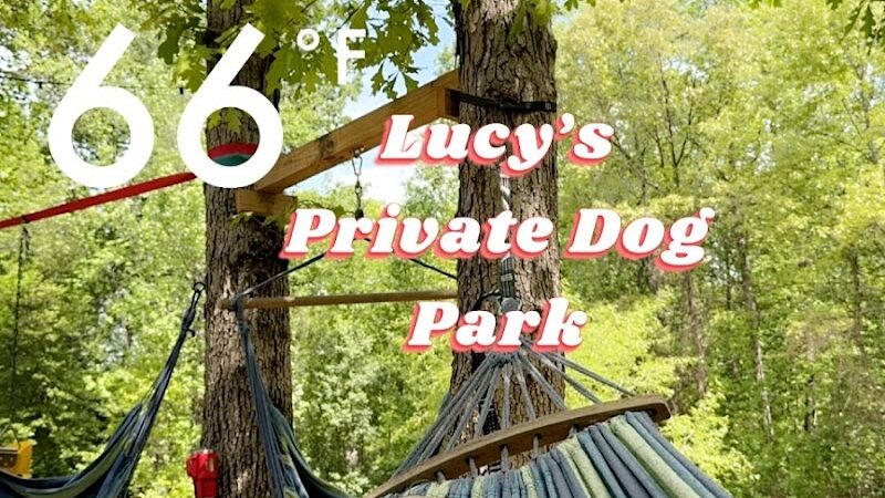Lucy’s Private Dog Park (Reservation Only) - Greer, SC