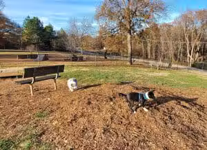Pelham Mill Dog Park - Greer, SC