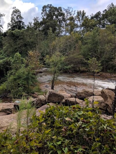 Pelham Mill Dog Park - Greer, SC