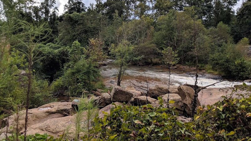 Pelham Mill Dog Park - Greer, SC