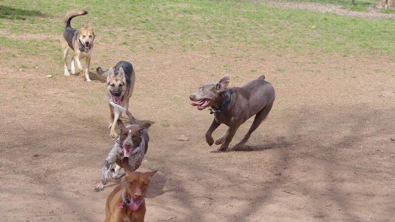 Pelham Mill Dog Park - Greer, SC