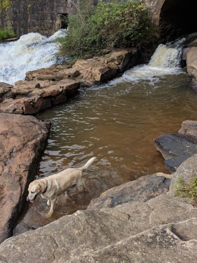 Pelham Mill Dog Park - Greer, SC