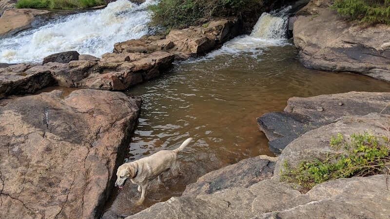 Pelham Mill Dog Park - Greer, SC
