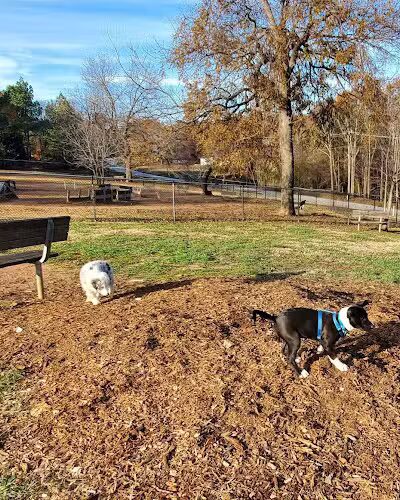 Pelham Mill Dog Park - Greer, SC