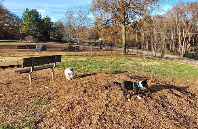 Pelham Mill Dog Park - Greer, SC