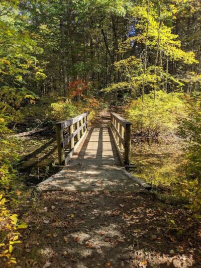 Hopeville Pond State Park - Griswold, CT