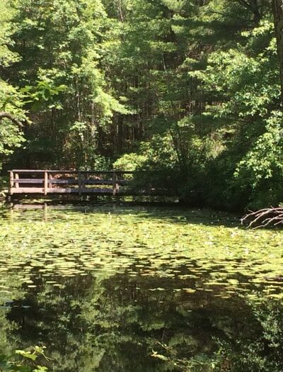 Hopeville Pond State Park - Griswold, CT