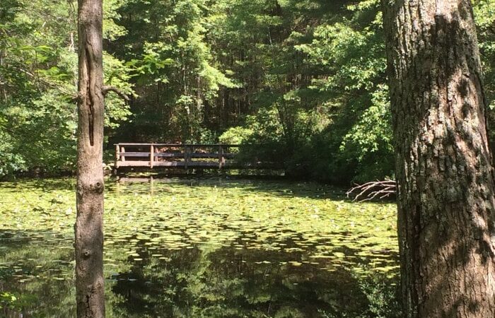 Hopeville Pond State Park - Griswold, CT