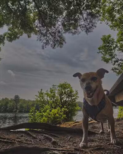 Hopeville Pond State Park - Griswold, CT