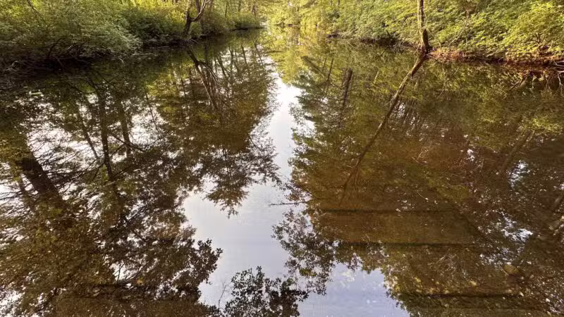 Hopeville Pond State Park - Griswold, CT