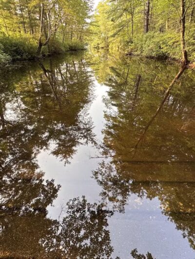 Hopeville Pond State Park - Griswold, CT